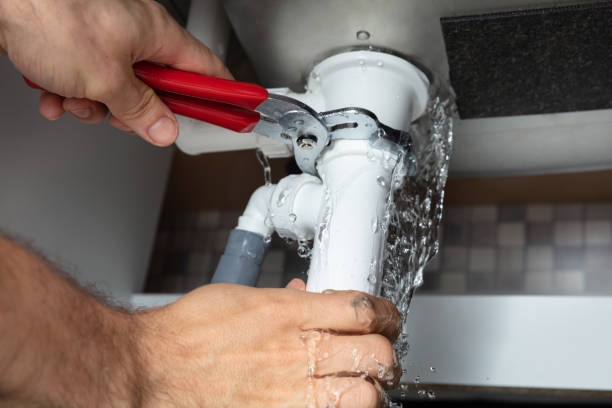 Best Local water damage restoration  in Ault, CO