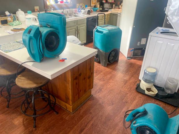 Best Water damage restoration near me  in Ault, CO
