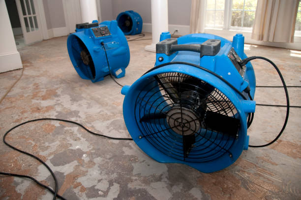 Best Flooded house restoration  in Ault, CO