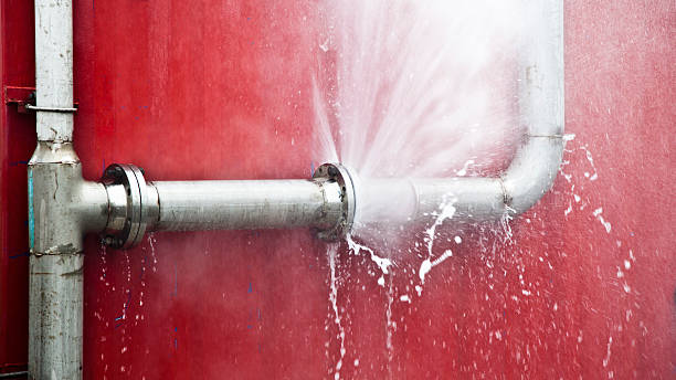 Best Water damage cleanup near me  in Ault, CO